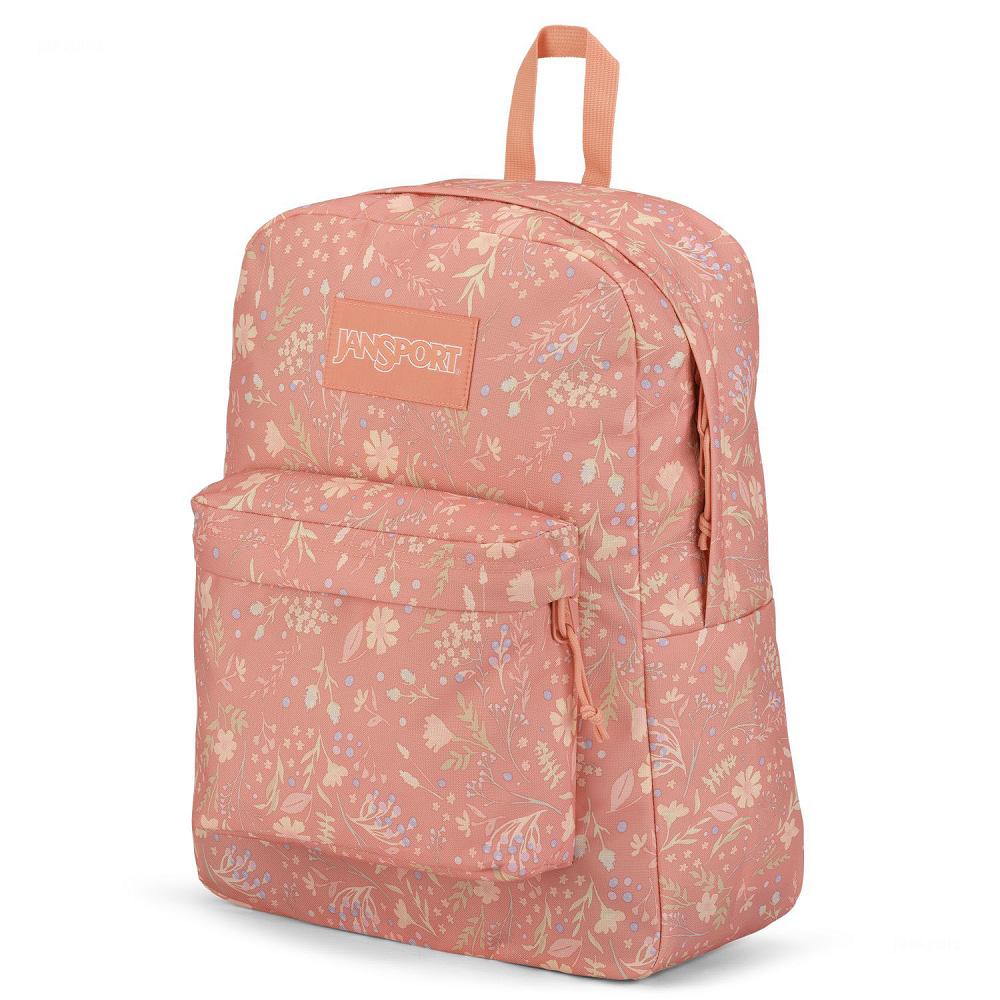 Sac à Dos Scolaire JanSport SuperBreak? Plus Rose | NCI-41621236